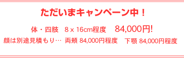 �������܃L�����y�[���� �́A�l�� �W���P�Ucm���x�@84,000�~! ��͕ʓr���ς��� ���j�@84,000�~���x�^���{�@84,000�~���x
�i�p�O���t������Ƃ��ĕʓr10,500�~�����S���������܂��B�j
